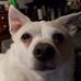 Profile Picture of Jesse Beasom (@jesse.beasom) on Facebook