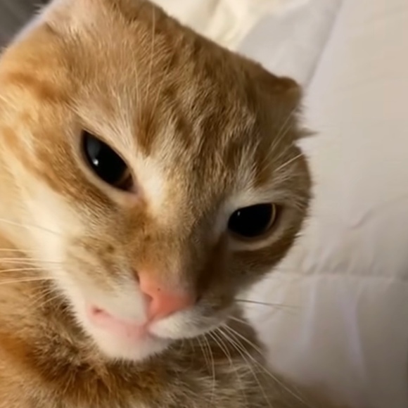 Liam Andrejczuk - Poshmark Profile Picture of Liam Andrejczuk (@landrejczuk23) on Poshmark