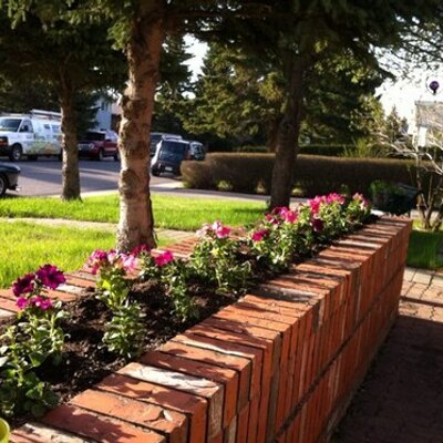 Profile Picture of Dave Thibodeau (@digrdave) on Twitter