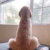 Profile Picture of just some nice person (@ericshawn..offical) on Tiktok