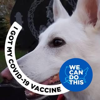 Profile Picture of Al Grice (@al.grice) on Instagram