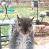 Profile Picture of Tamera Bale (@@tammybale69) on Tiktok