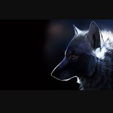 Profile Picture of Emir Papraniku (@EmirPapraniku) on Twitter