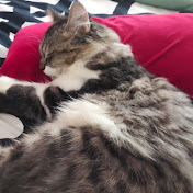 Profile Picture of Adam Harris (@adamharris3996) on Youtube