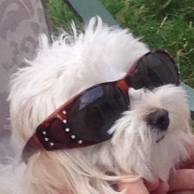 Profile Picture of Jennifer Goode (@jagoode) on Twitter