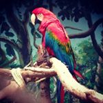 Profile Picture of Kevin Alexis Caceres Santos (@wiser_kevin_22) on Instagram