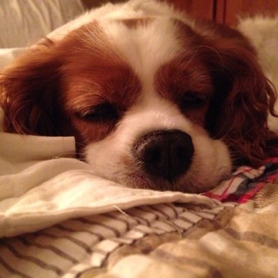 Profile Picture of Jonathan Pyle (@jtpyle) on Twitter