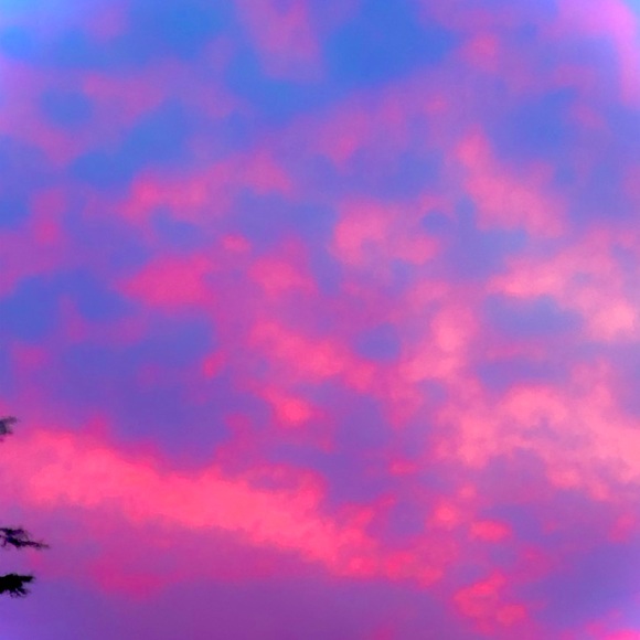 Profile Picture of Tyler Joseph (@tylerjos17) on Poshmark