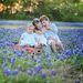 Profile Picture of Andrea Mayes (@andreamayes) on Pinterest
