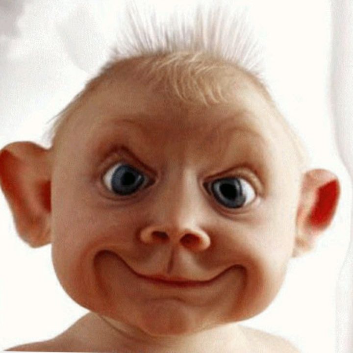 Profile Picture of René Fransman (@fransman67) on Tiktok