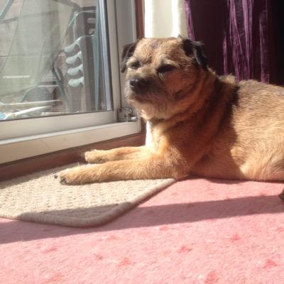 Profile Picture of John Cunliffe (@cunliffe5) on Twitter