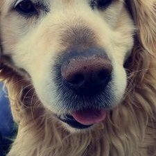 Profile Picture of I Ate My Nick (@filip_kovacik) on Twitter