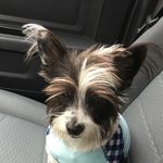 Profile Picture of Dexter Cross (@dextercross100) on Instagram