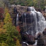 Profile Picture of Nancy (@nancygiorgione) on Instagram