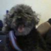 Profile Picture of Yulanda Waters (@@yulandawith5grands) on Tiktok