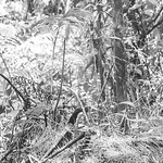 Profile Picture of Julian Castro (@julkastro.gallery) on Flickr