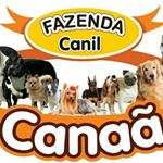 Profile Picture of Canil Canaã Rondonia (@canilcanaarondonia) on Instagram