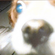 Profile Picture of Kate Hovey (@katehovey2818) on Youtube