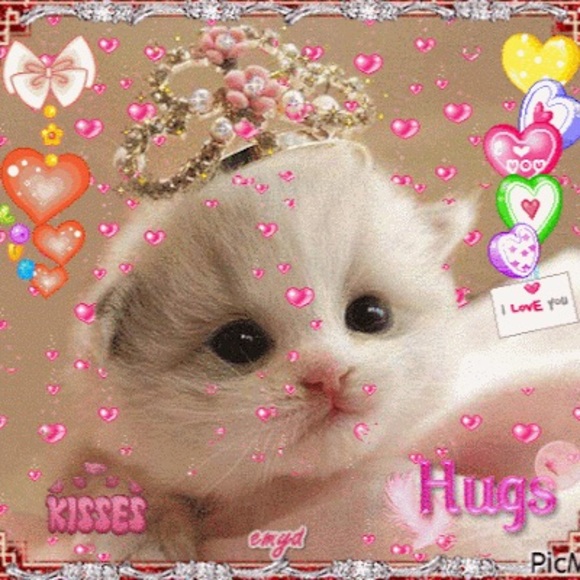 Mikaila Bortot - Poshmark Profile Picture of Mikaila Bortot (@bortotmikg) on Poshmark