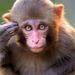 Profile Picture of Dylan Mock (@dmock0179) on Pinterest