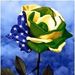Profile Picture of Iara Antonelli Jacob (@antonellijacob) on Pinterest