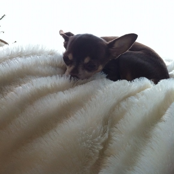 Profile Picture of Julia Arcand (@julialouise06) on Poshmark