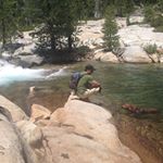 Profile Picture of Peter Hitchcock (@hitchcock8794) on Instagram