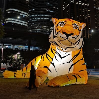 Profile Picture of Tom Ormesher (@thomsormes) on Twitter