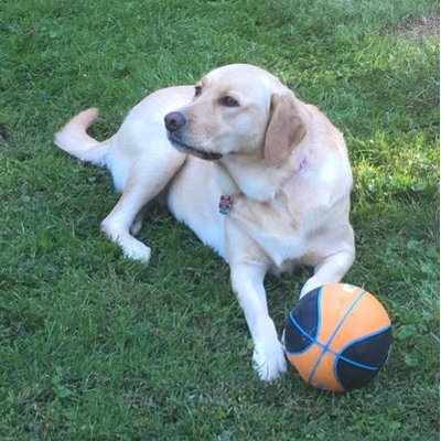 Profile Picture of Elizabeth Shaffer (@MrsShafferReads) on Twitter