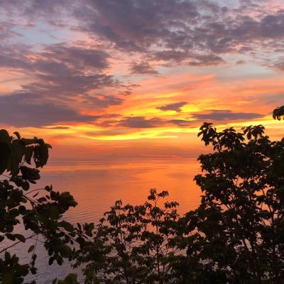 Profile Picture of Jimmy CHOW (@jimmychow) on Twitter