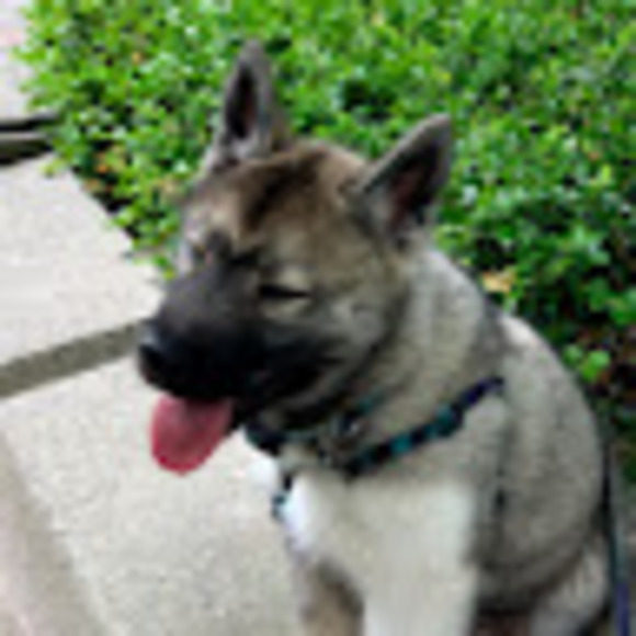 Profile Picture of Ipanic Marentette (@ipanic14) on Poshmark