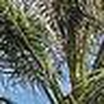 Profile Picture of Darren Hunt (@Sailor Daz) on Flickr