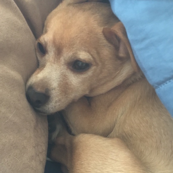 Profile Picture of Veronica Frausto (@beautyangels115) on Poshmark