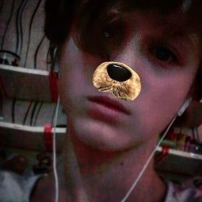 Profile Picture of Virginia Unger (@VirginiaUnger2) on Twitter