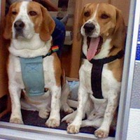 Profile Picture of Heinz Klerkx (@heinz-klerkx) on Quora