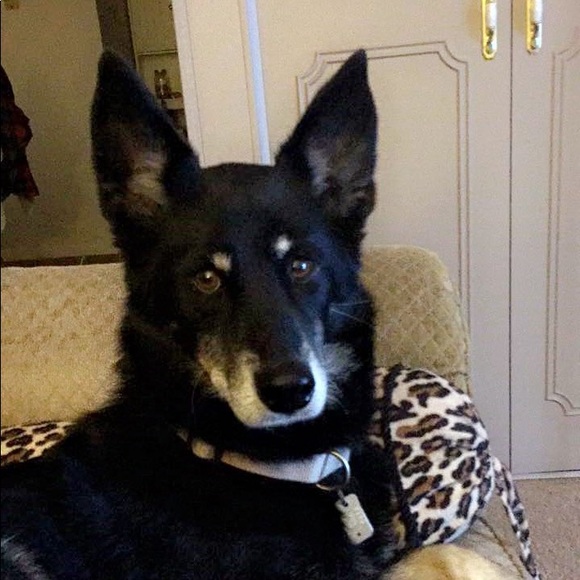 Profile Picture of Tiffany Weinel (@tweinel13) on Poshmark