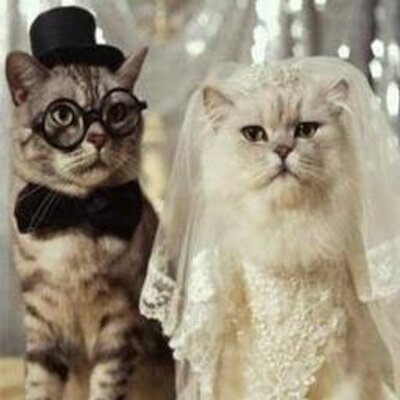 Profile Picture of Timoteo David Perez (@TimPerez105) on Twitter