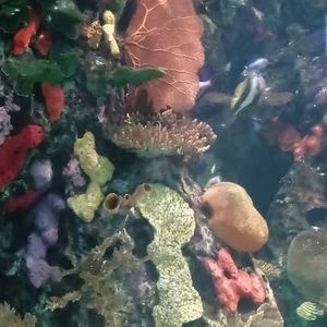 Profile Picture of Vickie Iverson (@uniqueblack) on Myspace