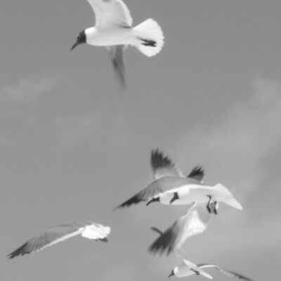 Profile Picture of Lucy Mata (@lucymata) on Twitter