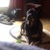 Profile Picture of Arnold Hackett (@arnold.hackett.5) on Facebook