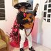 Profile Picture of Luis Pineiro (@luis.pineiro.378) on Facebook