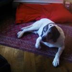 Profile Picture of Mark schumann (@juergen.zupp) on Instagram