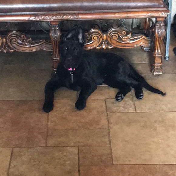 Profile Picture of Thomas Lemberg (@lemberg2107) on Poshmark