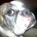 Profile Picture of Janna Schoemaker (@janna.schoemaker.54) on Facebook