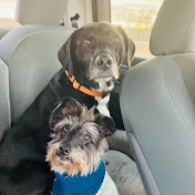 Profile Picture of Mandy Springer (@whirlwind9986) on Youtube