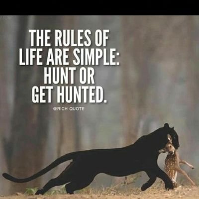 Profile Picture of Fowzia Abdullahi (@FowziaAbdullah9) on Twitter