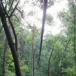 Profile Picture of Shawn Ketchum Nowicki (@shawn_nowicki) on Instagram