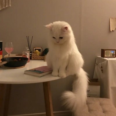 Profile Picture of Leslie T. Swift (@LeslieTSwift) on Twitter