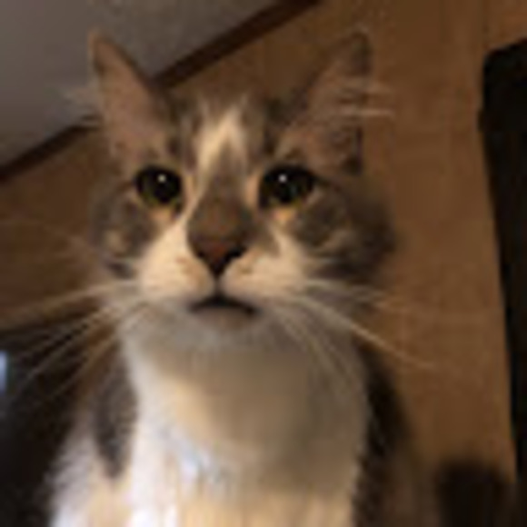 Profile Picture of Earl Cabala (@ecksveritas) on Poshmark