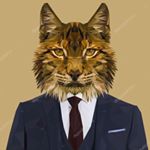 Profile Picture of Joel Del Peso Melero (@joel_thelynx) on Instagram